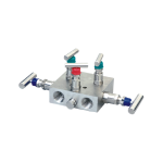 5VM, Five Valve Manifold