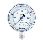 ZPS Process Pressure Gauge