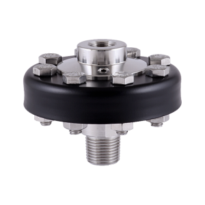 DS20 Screwed Diaphragm Seal
