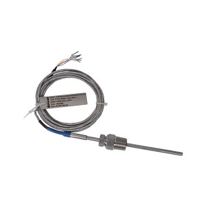 RTW Resistant Temperature Detector